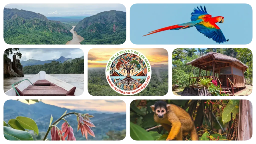 experience south america–madidi kullpana ecolodge bolivia